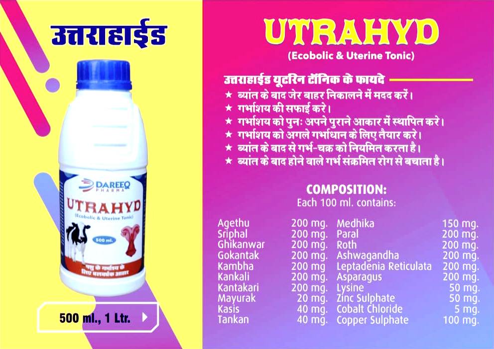 Dareeq Pharma is a leading pharmaceutical company that stands at the forefront of the healthcare industry, providing a wide range of high-quality medicines for both human and veterinary. Top Pharma Company In India , Top Pharma Company In Uttar Pradesh , Top Pharma Company In Bihar , Top Pharma Company In City , Top Pharma Company In State , Top Pharma Company Near Me , Best Pharma Company In India , Best Pharma Company In Uttar Pradesh , Best Pharma Company In Bihar , Best Pharma Company In Patna , Best Pharma Company In State , Best Pharma Company In Region , Best Pharma Company Near Me , Best Pharma Company In City , Dareeq Pharma Private Limited Company , Dareeq Pharma (OCL) , Dareeq Pharmaceutical Company , Dareeq Pharma Company Bihar , Dareeq Pharma Company Patna , Dareeq Pharmaceutical Bihar , Dareeq Pharmaceutical Patna , dareeqpharma , dareeqpharmaceutical , dareeqpharma.com